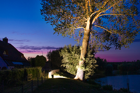 LED Breedstralers zonder bewegingssensor breedstraler die boom verlicht