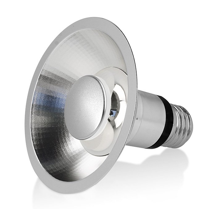 E27 LED spot Pegasi Par 30 12W 2700K dimbaar