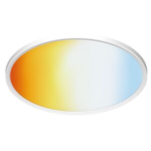 Smart LED Amela Wand- en Plafondlamp Tint RGBW 42cm