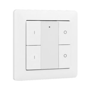 Draadloze wandbediening Zigbee 2 zones