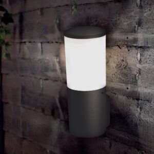 Wandlamp Amelia zwart diffuus glas E27 8,5W 2700-4000-6500K IP55